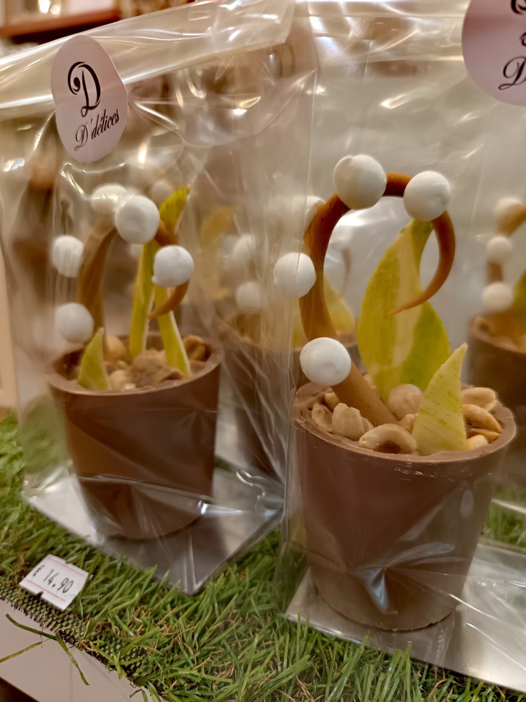 Pots fleuris en chocolat D’délices